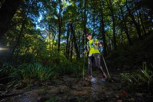 BIB: 
                            <button type="button" onclick="openModal(19230419)" class="btn btn-primary btn-sm float-right btn-popup" data-toggle="modal" data-target=".modal-high-quality">
                        <i class="fas fa-shopping-cart"></i> Add to Cart
                    </button>
                                            <button type="button" onclick="isThisMe(19230419, true)" class="btn btn-success btn-sm float-right btn-popup btn-isme hidden" data-toggle="tooltip" data-placement="bottom" title="นี่คือรูปของคุณใช่ไหม คลิกที่นี่เพื่อเอาเข้าอัลบั้ม">
                        <i class="fas fa-plus"></i> Add to album
                    </button>
                    <button type="button" onclick="isThisMe(19230419, false)" class="btn btn-warning btn-sm float-right btn-popup btn-isnotme hidden">
                        <i class="fas fa-ban"></i> Remove from album
                    </button>